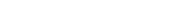noema